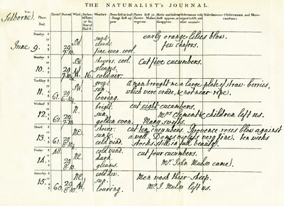 Laatste voltooide pagina van Gilbert Whites Naturalists Journal, 9-15 juni 1793 door Gilbert White